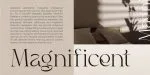Black Delights Font