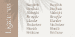 Black Delights Font