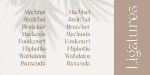 Black Delights Font