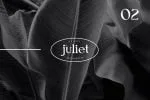 Black Echo Modern Ligature Font
