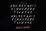 Black Range Font