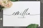 Black Stanky Font