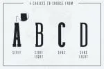 Black Velvet - A Font Duo Collection
