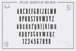 Black Velvet Whiskey Font