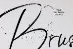 BlackSilver Brush Font