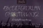 BlackSilver Brush Font