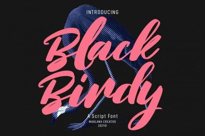 Blackbirdy Bold Script Font Blackbirdy Bold Script Font