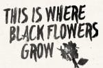 Blackflower Font