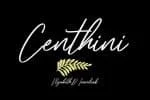 Blacksharks Script Font