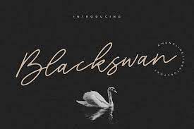 Blackswan Font