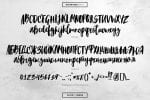 Blacktear Script Font