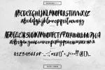 Blacktear Script Font