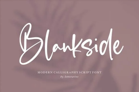 Blankside Font