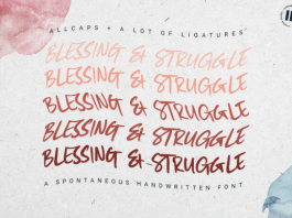 Blessing and Struggle Font