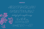 Blinkest Script Font