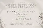 Blinkwomen Font