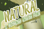Blogger 1983 Font