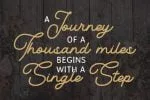 Blondia - Elegant Vintage Monoline Script