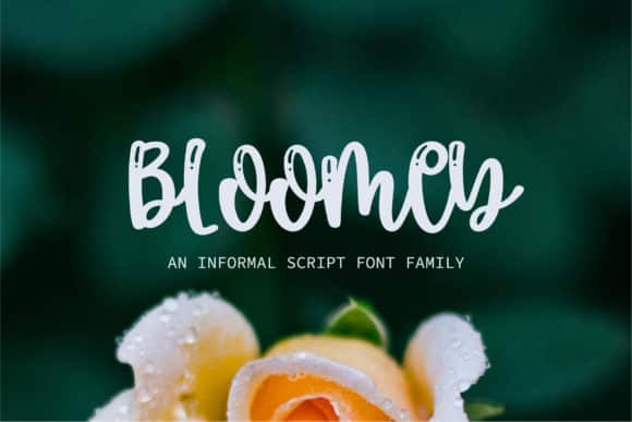Bloomey Font