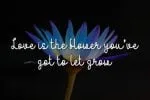 Blooming Flower Font