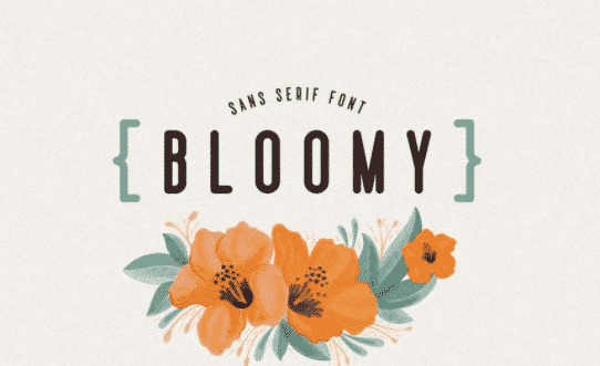 Bloomy Sans Serif Font
