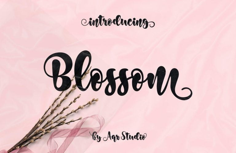 Quiche Sans Font Family