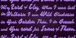Blueberry Script Font