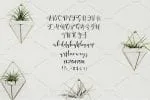 Blumenthal Handwritten Font
