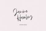 Blushed Script Font