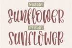Bohemian Wedding Font