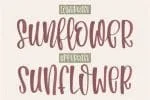Bohemian Wedding Font