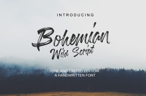 Bohemian Wild Script Font