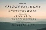 Bohemian Wild Script Font
