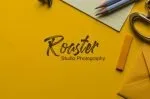 Bohemian Wild Script Font