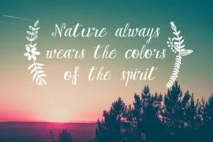 Bohemian Lady Font