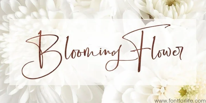 Boisterous Script Font