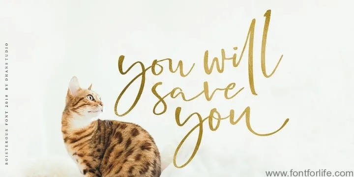 Boisterous Script Font
