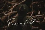 Bolderis Signature Font