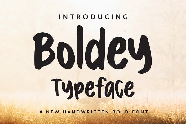 Boldey Font