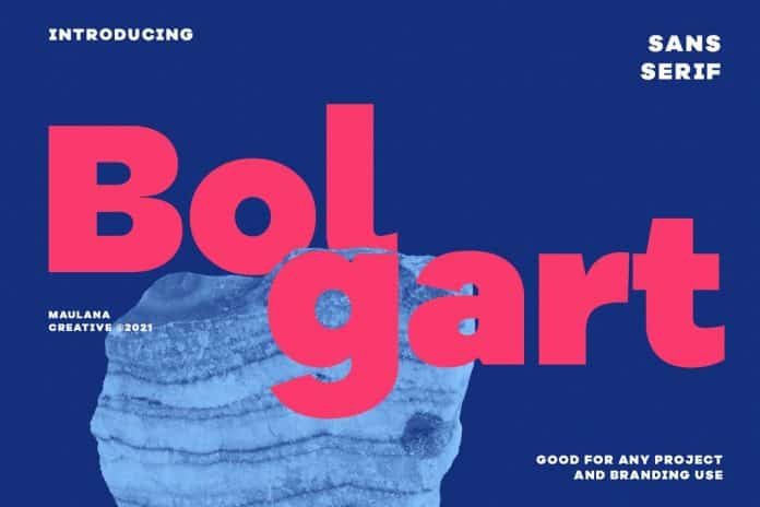 Bolgart Sans Serif Display Font