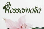 Bollanita Font