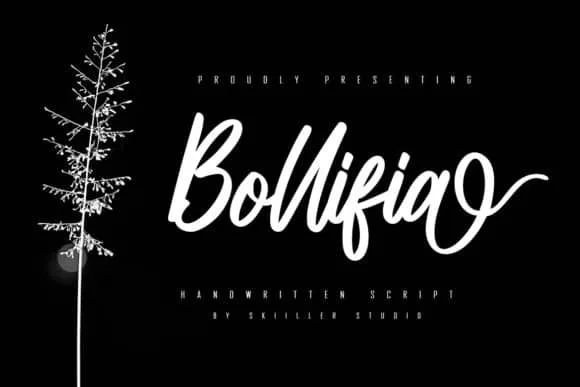 Bollifia Script Font Bollifia Script Font