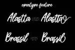 Bollifia Script Font