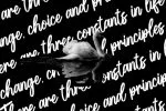 Bollifia Script Font