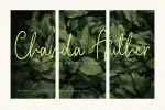 Bolzano - A Beautiful Script Font