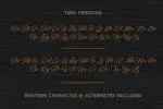 Bonfire Script Font