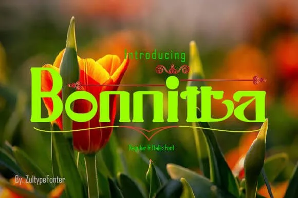 Bonnitta Font