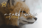 Bonyca Font