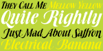 Book Jacket Font