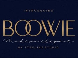 Boowie Font